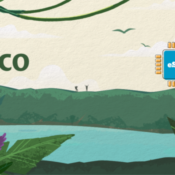 Pico 1 GB - 7 days